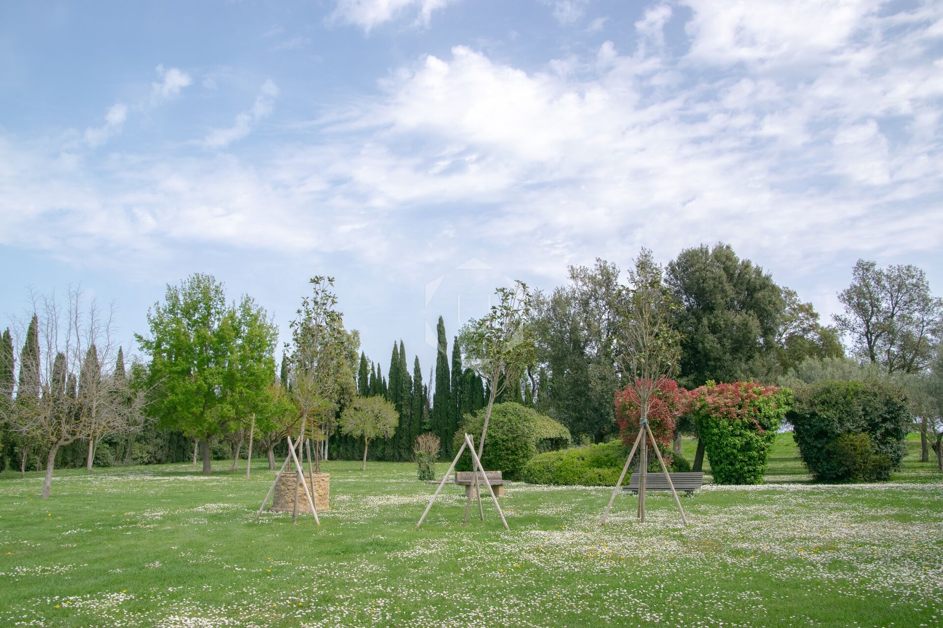 TORRE PEDRISSA