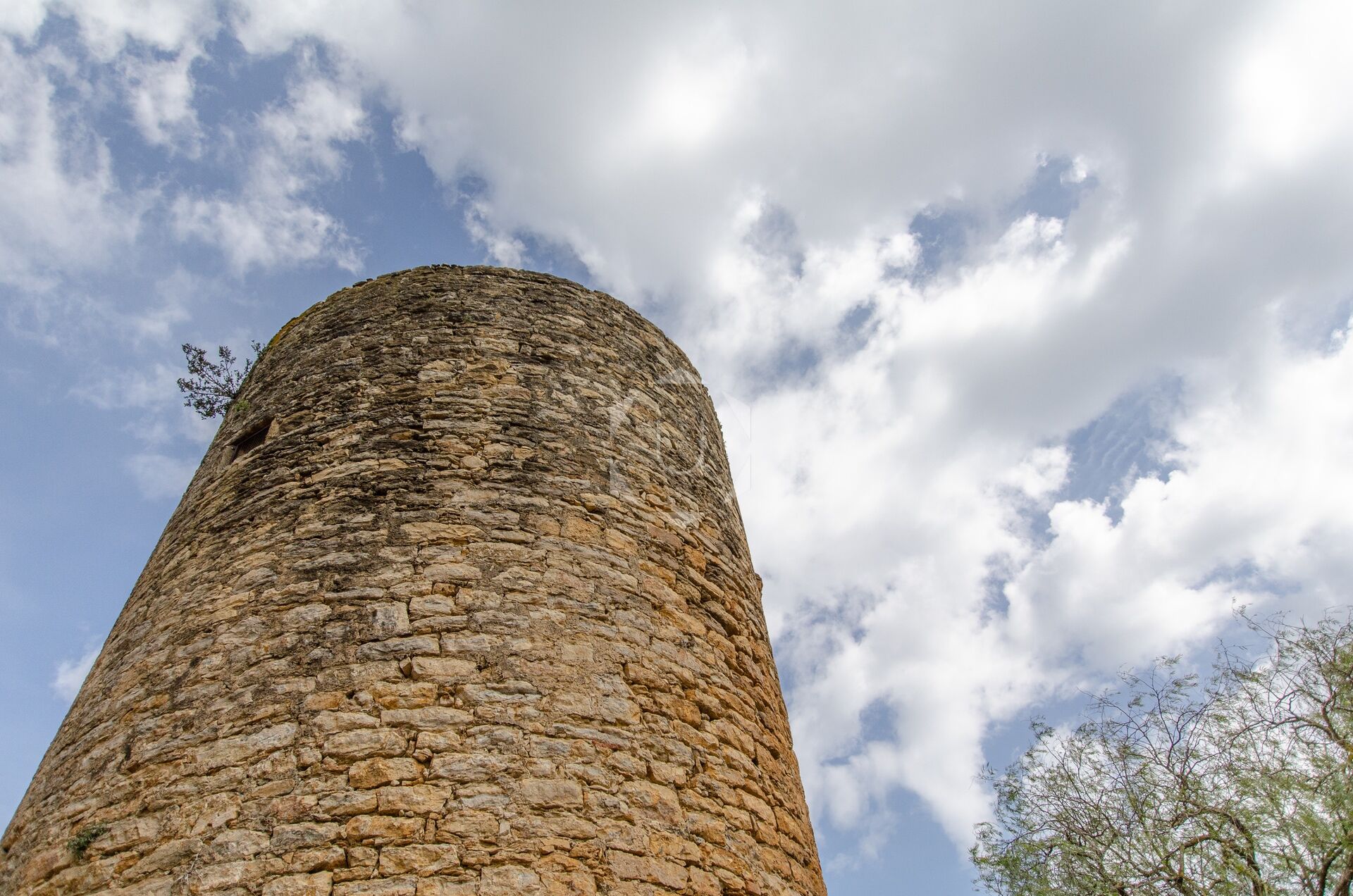 TORRE PEDRISSA