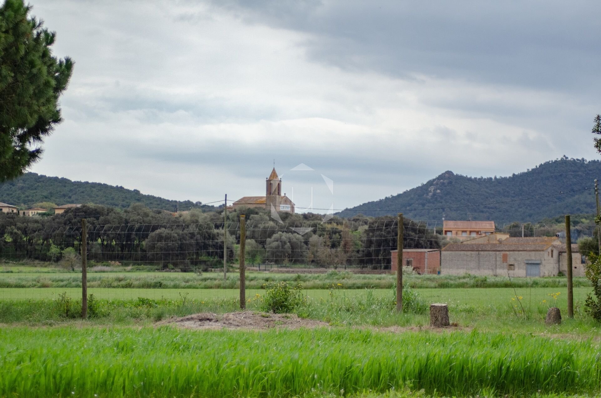 TORRE PEDRISSA