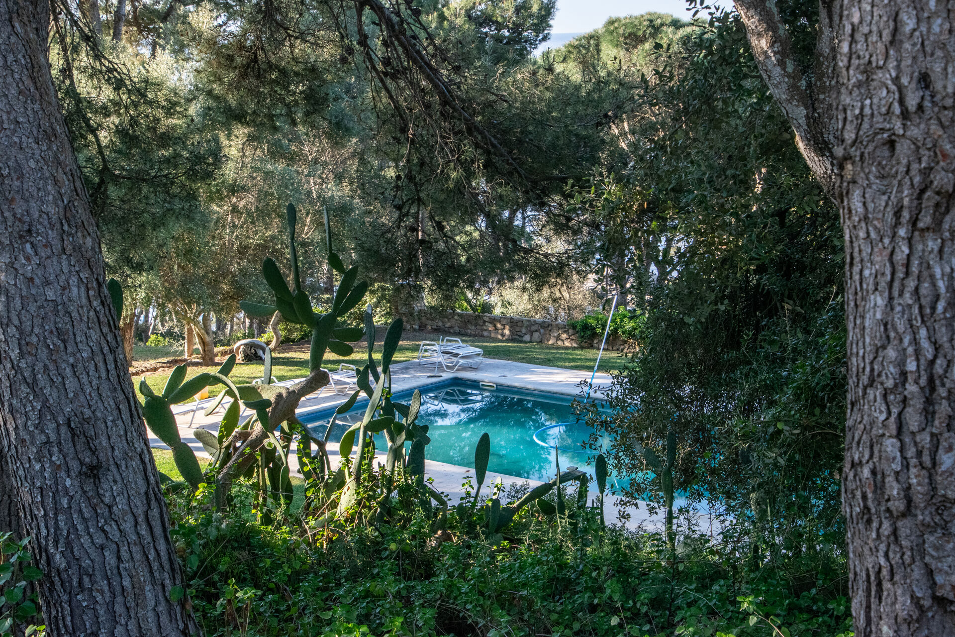 36ha de terreny davant del mar amb 5 grans edificis de pedra en venda